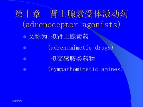 第十章  肾上腺素受体激动药