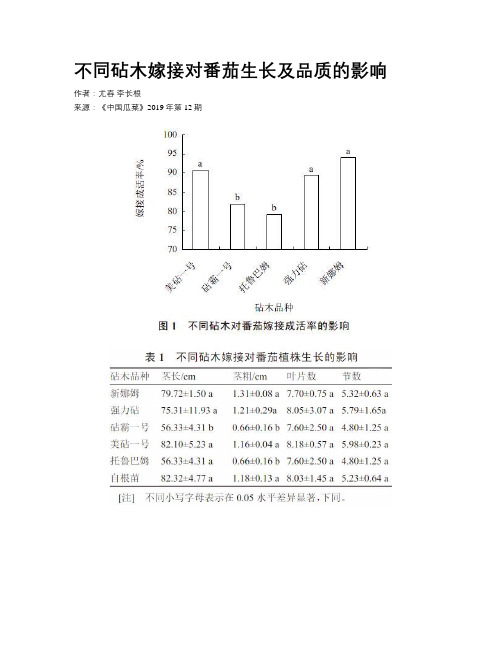 不同砧木嫁接对番茄生长及品质的影响