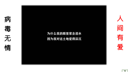 人教版七年级下册政治第二单元第五课《在品味情感中成长》第2课时课件