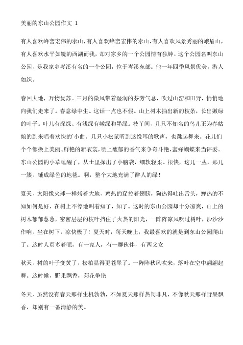 美丽的东山公园作文400字,用游览顺序写