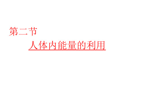 济南版七年级生物下册第三单元第二章第二节人体内能量的利用课件(共22张PPT)