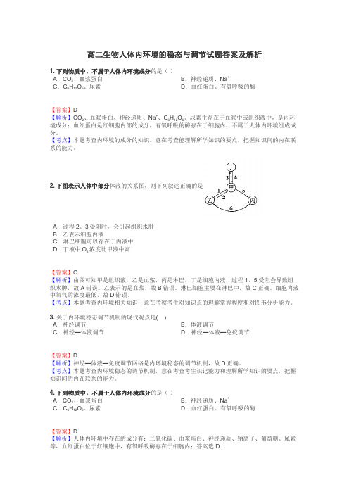 高二生物人体内环境的稳态与调节试题答案及解析
