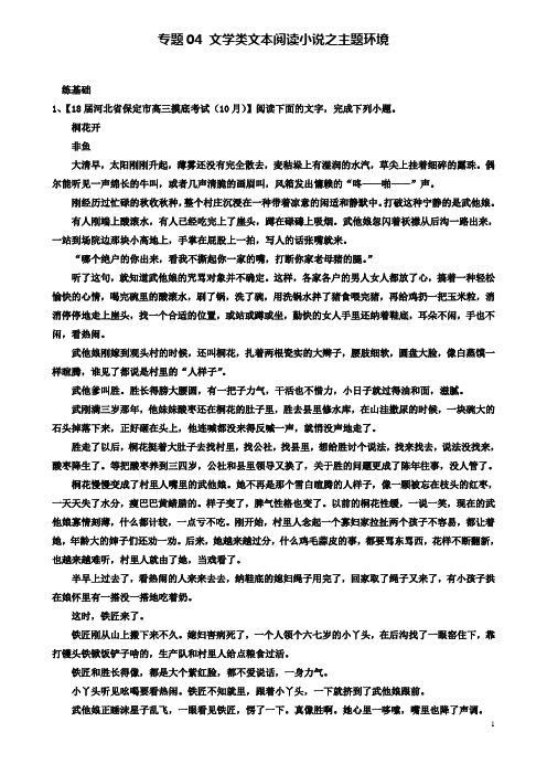 高考语文二轮复习专题文学类文本阅读小说之主题环境练