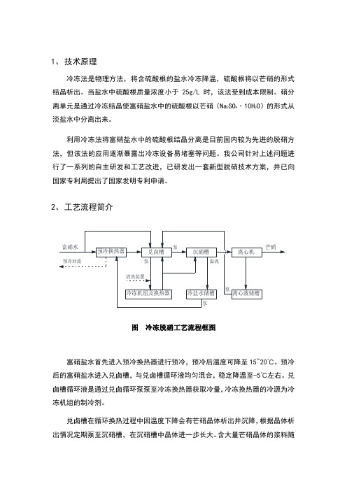 冷冻脱硝工艺简介