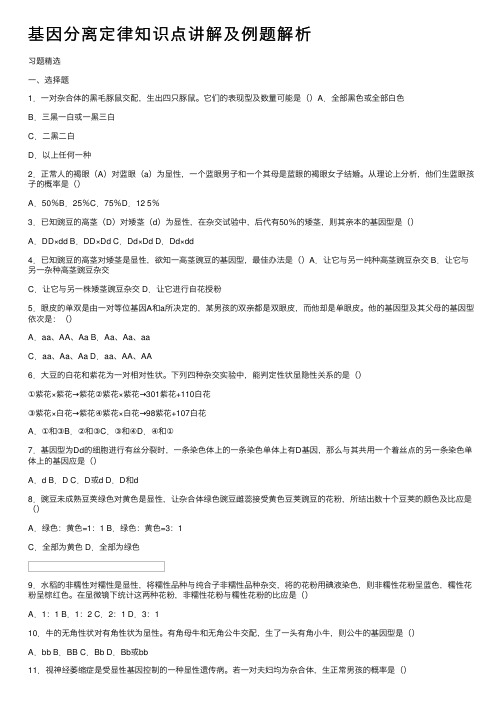 基因分离定律知识点讲解及例题解析