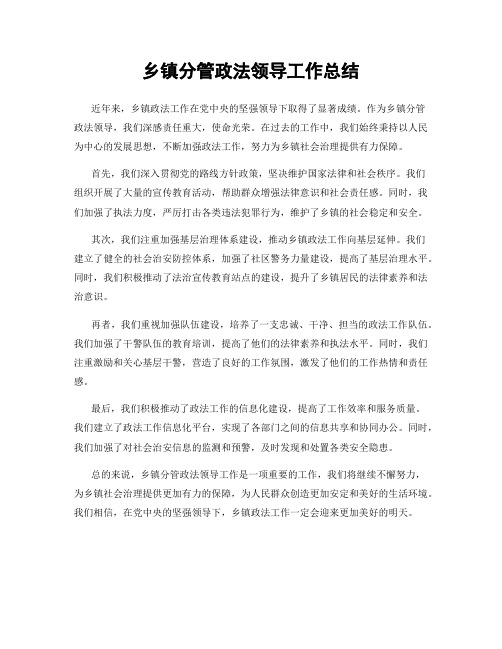 乡镇分管政法领导工作总结