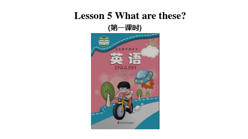 Lesson 5 What are these第一课时课件 四年级下册英语 科普版