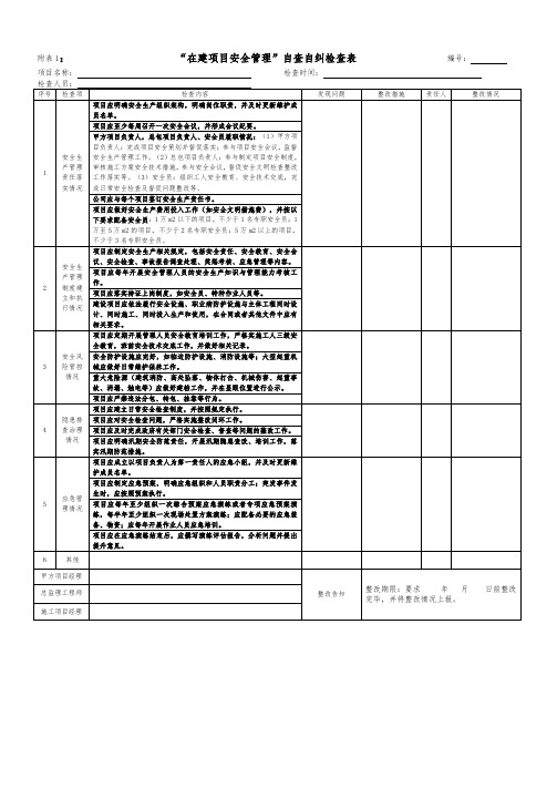 项目自查自纠检查表