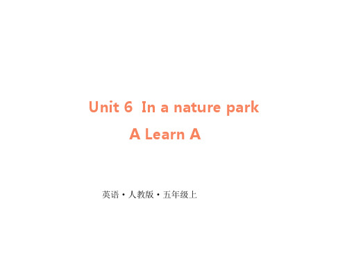 人教PEP版五年级上册英语Unit 6 In a nature park A Let's learn课件