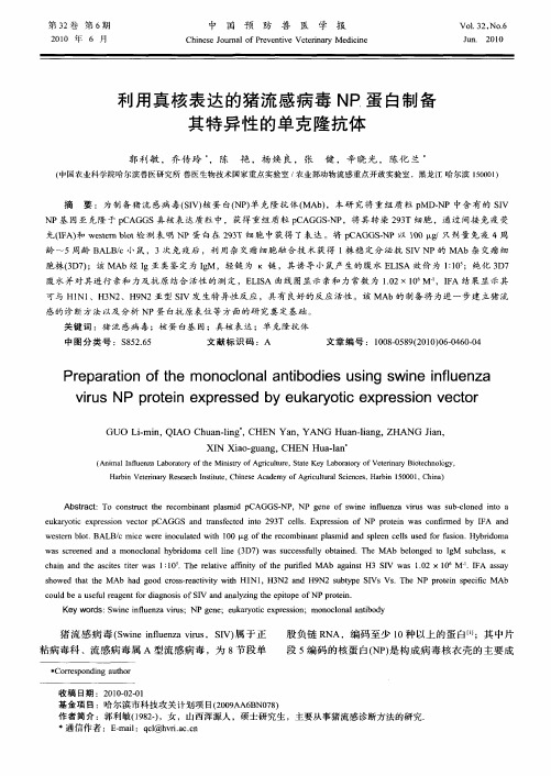 利用真核表达的猪流感病毒NP蛋白制备其特异性的单克隆抗体