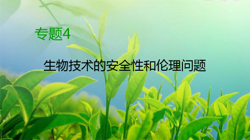 2019-2020学年人教高中生物选修三同步课件:专题4 生物技术的安全性和伦理问题4.1