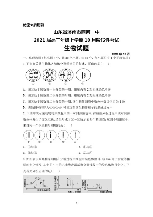 2021届山东省济南市商河一中高三上学期10月阶段性考试生物试题及答案