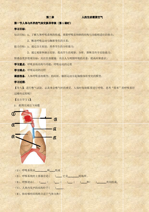 生物：3.2《人的生活需要空气》复习学案(济南版七年级下)