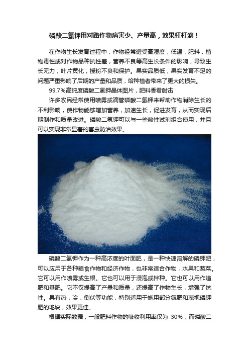 磷酸二氢钾用对路作物病害少、产量高，效果杠杠滴！