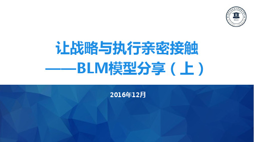 让战略与执行亲密接触BLM模型分享上