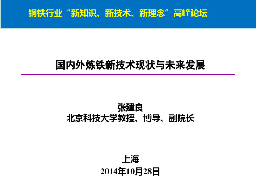 国内外炼铁新技术现状与未来发展