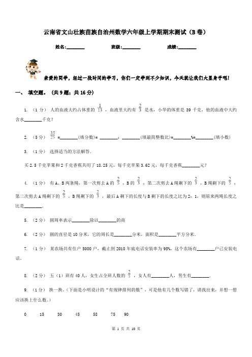 云南省文山壮族苗族自治州数学六年级上学期期末测试(B卷)