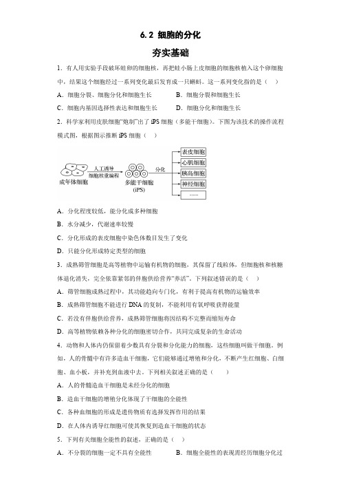 (人教版2019必修第一册)高一生物同步练习 6.2 细胞的分化 分层作业