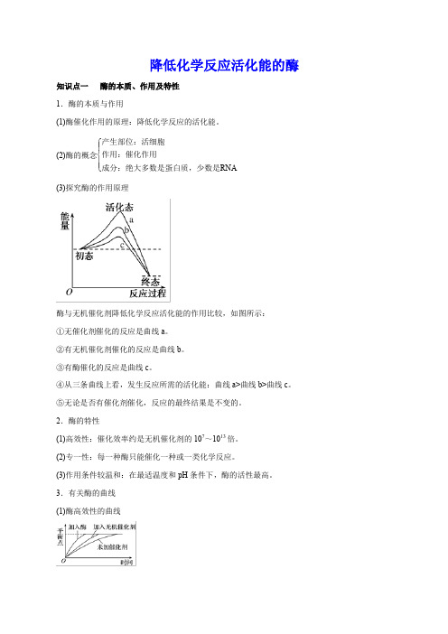 降低化学反应活化能的酶 知识点总结与重难点