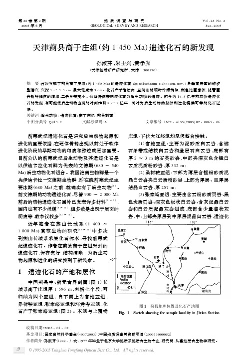 天津蓟县高于庄组(约1 450 Ma) 遗迹化石的新发现