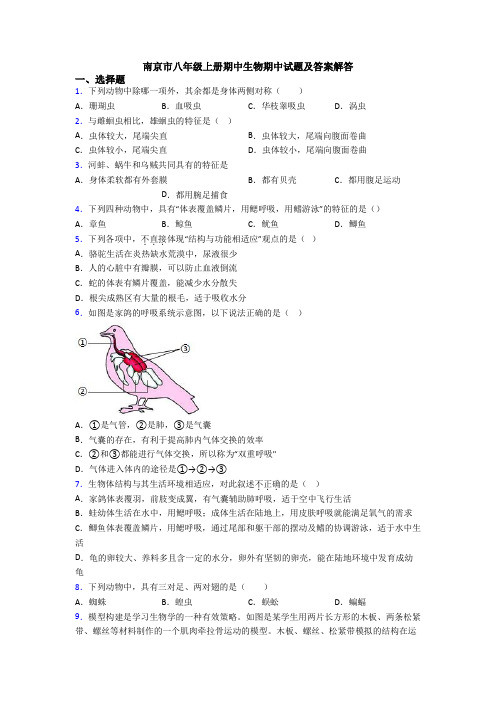 南京市八年级上册期中生物期中试题及答案解答