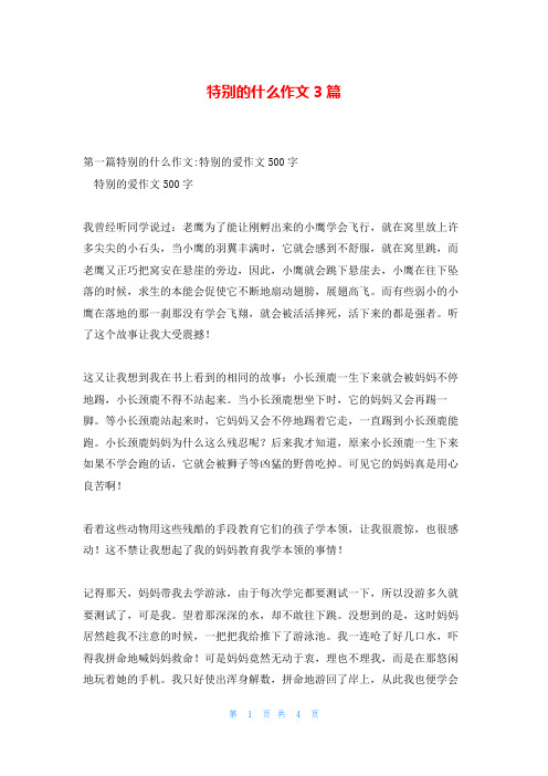 特别的什么作文3篇