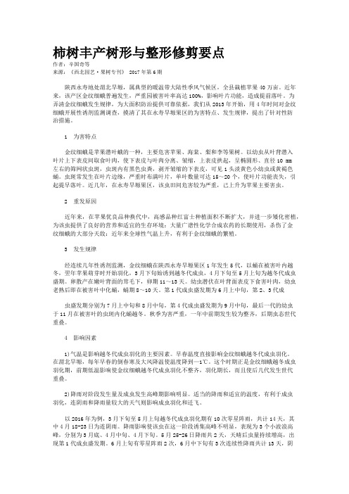 柿树丰产树形与整形修剪要点