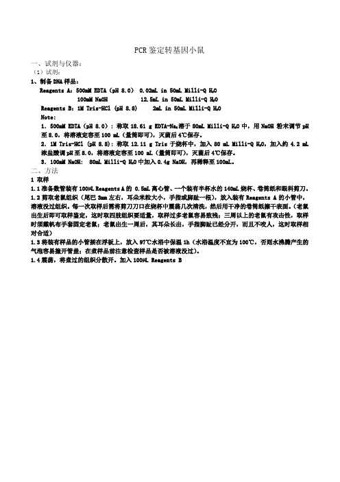 PCR检测转基因小鼠样品处理