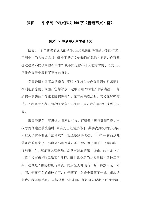 我在什么中学到了语文作文400