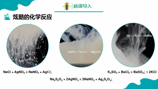 常见离子的检验-离子反应离子反应课件-高一化学人教版(2019)必修第一册