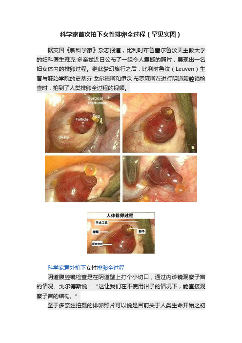 科学家首次拍下女性排卵全过程（罕见实图）