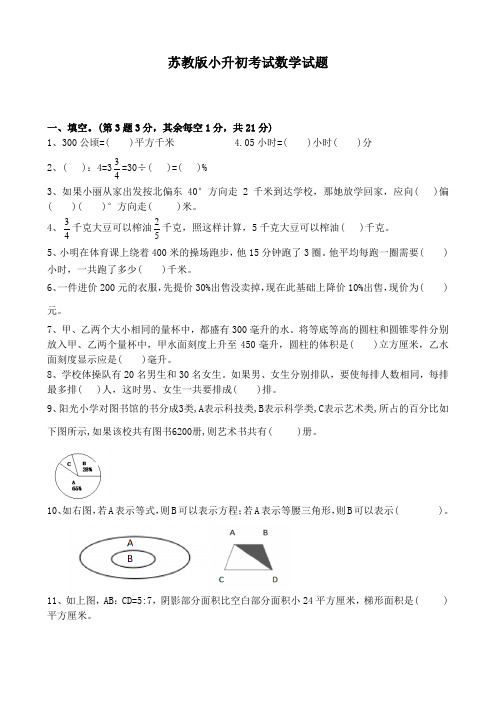 苏教版六年级下学期小升初数学押题卷含答案解析