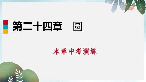 九年级数学上册第24章圆中考演练课件新版新人教版
