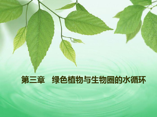 《绿色植物与生物圈的水循环》名师课件