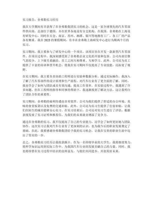 舍弗勒实习报告