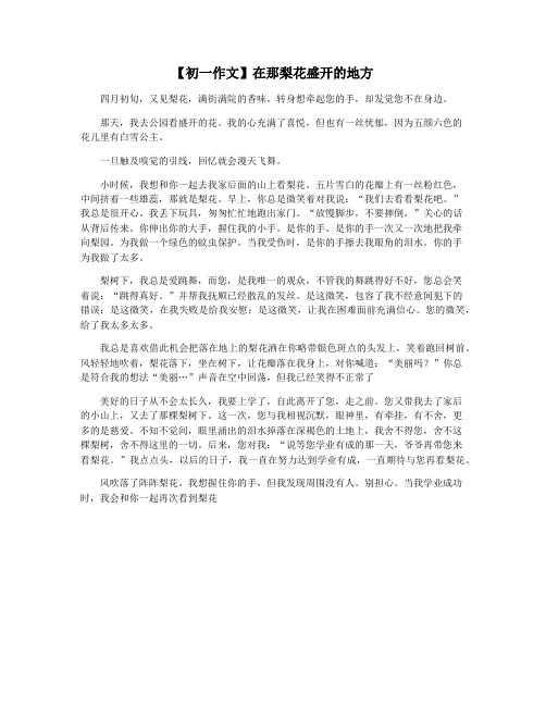 【初一作文】在那梨花盛开的地方