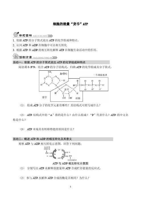 细胞的能量“货币”ATP导学案 高一上学期生物人教版必修1