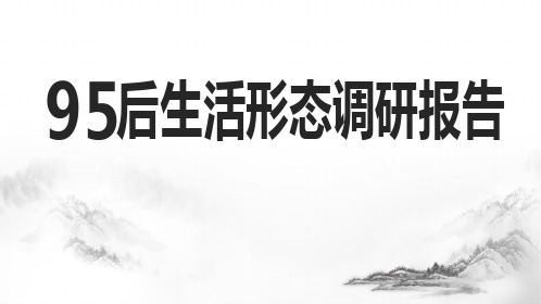 国内95后生活形态研究分析报告