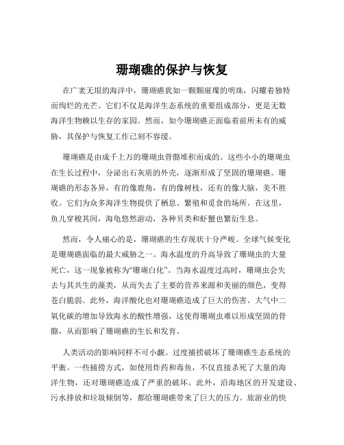 珊瑚礁的保护与恢复