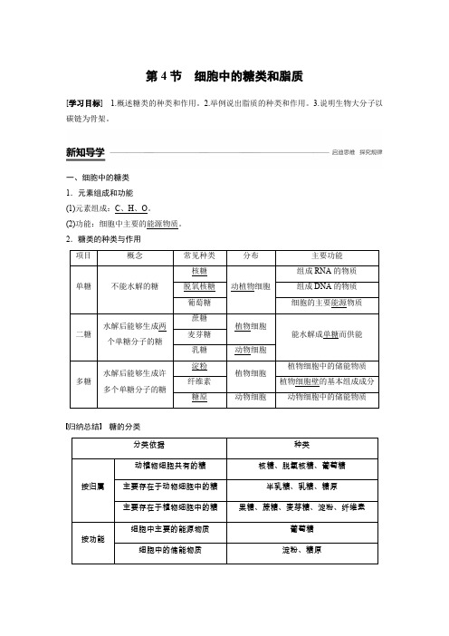 新学案生物同步必修一人教全国讲义:第二章 组成细胞的分子 第4节 细胞中的糖类和脂质 Word含答案