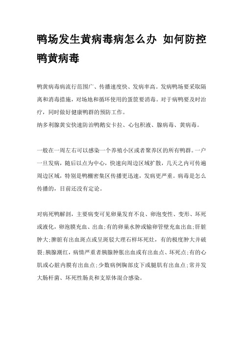 鸭场发生黄病毒病怎么办 如何防控鸭黄病毒