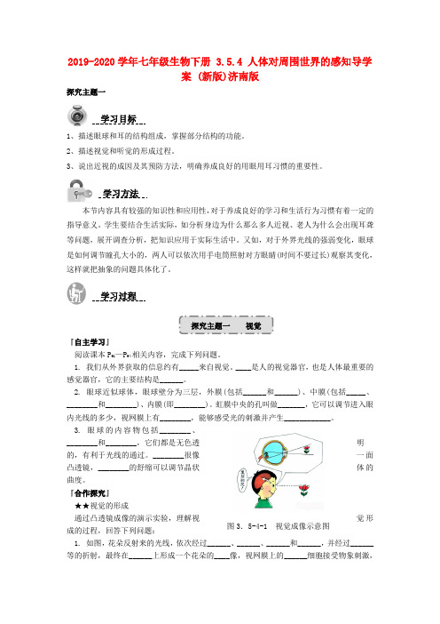 2019-2020学年七年级生物下册 3.5.4 人体对周围世界的感知导学案 (新版)济南版.doc