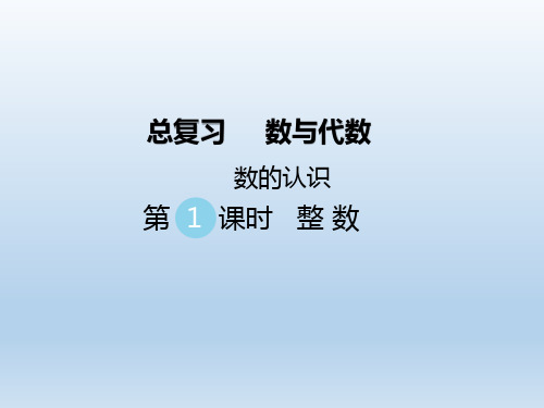 北师大版六年级数学下册《总复习数与代数》公开课精品课件