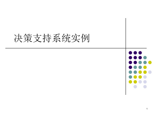 决策支持系统实例课件