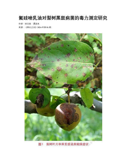 氟硅唑乳油对梨树黑斑病菌的毒力测定研究