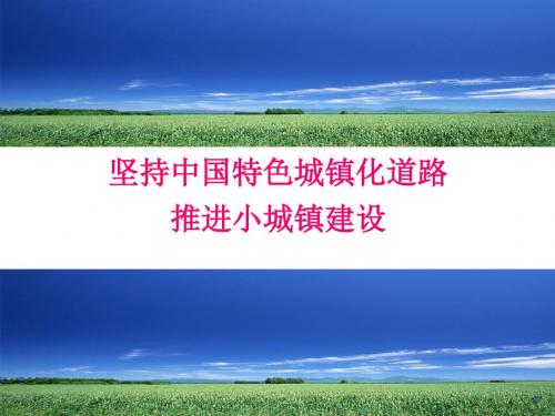 坚持中国特色城镇化道路 推进小城镇建设