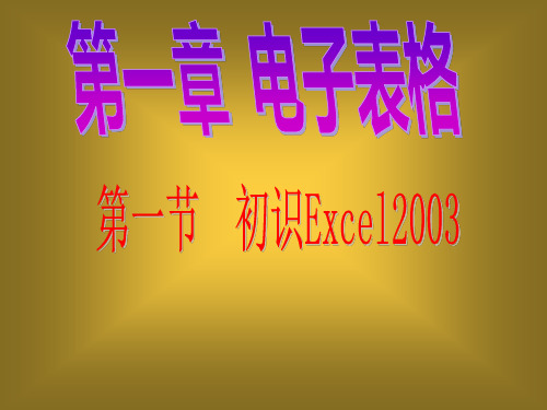 光明日报版八年级全册信息技术1.1初识excel2003课件