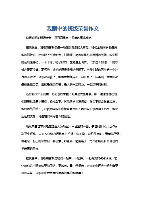 我眼中的班级荣誉作文