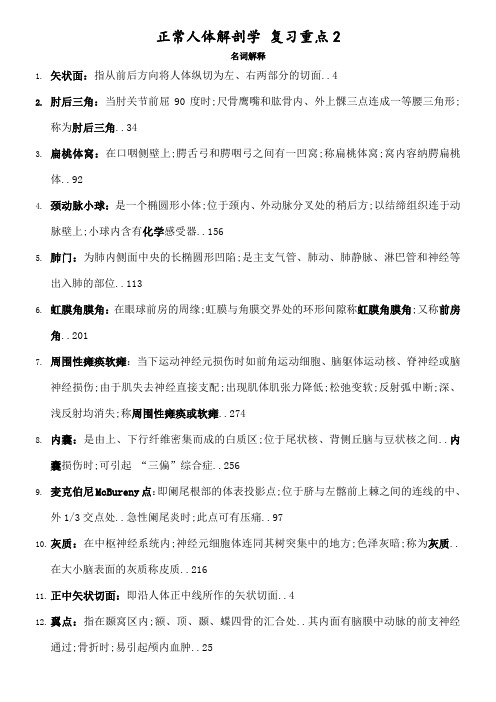 正常人体解剖学复习重点