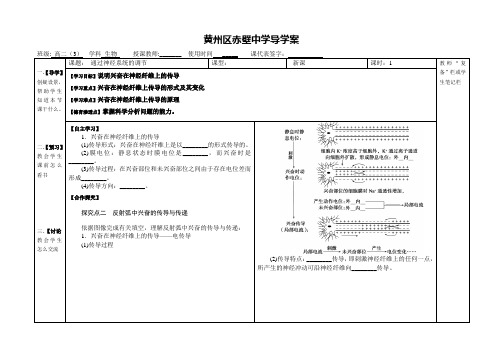 通过神经系统的调节2